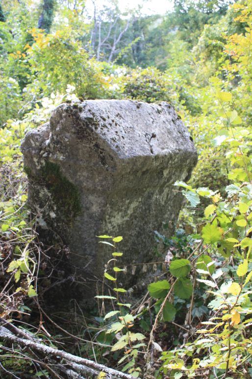 Nekropole sa stećcima u selu Čičevo, povijesno područje